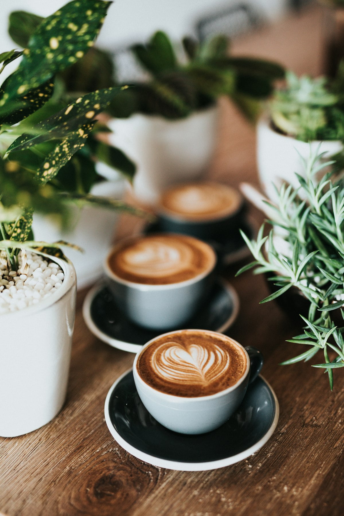 Latte art en café de especialidad